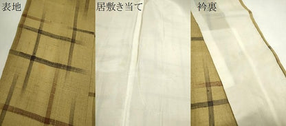 平和屋着物＊夏物　生紬　紗　格子柄　正絹　逸品　CABG2319ze