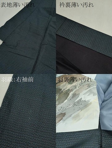 平和屋着物■男性　本場大島紬　アンサンブル　100亀甲　総詰め　正絹　逸品　CABG2339ze