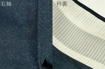 平和屋着物＊夏物　紗紬　霞文　正絹　逸品　CABG2386ze