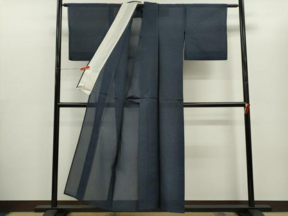 平和屋着物＊夏物　紗紬　霞文　正絹　逸品　CABG2386ze