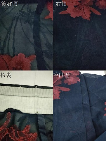 平和屋着物＊夏物　小紋　紗　カトレア　正絹　逸品　未使用　CABG2394ze