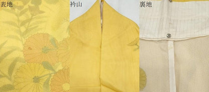 平和屋着物▽訪問着　単衣　紗袷　紗×紗　草花文　正絹　逸品　CABG2434th