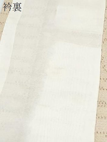 平和屋着物▽本塩沢　単衣　亀甲文様　正絹　逸品　CABG2552th