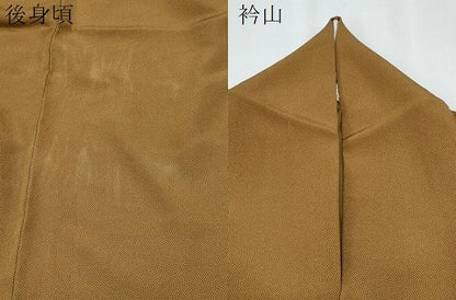 平和屋着物▽江戸小紋　単衣　作家物　鮫小紋柄　正絹　逸品　CABG2671th