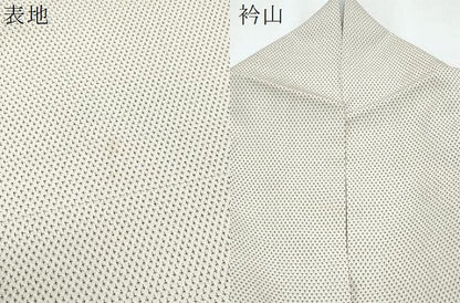 平和屋着物▽本塩沢　単衣　蚊絣　正絹　逸品　CABG2679th