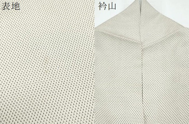 平和屋着物▽本塩沢　単衣　蚊絣　正絹　逸品　CABG2679th