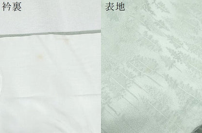 平和屋着物▽上質な色無地　単衣　樹林地紋　青磁鼠色　正絹　逸品　CABG2685th