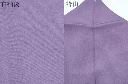 平和屋着物▽上質な色無地　単衣　竜胆色　正絹　逸品　CABG2697th