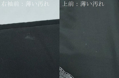 平和屋着物■豪華黒留袖　雪輪草花文　金彩　正絹　逸品　CABG2718th