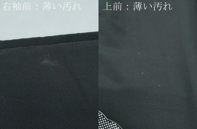 平和屋着物■豪華黒留袖　雪輪草花文　金彩　正絹　逸品　CABG2718th