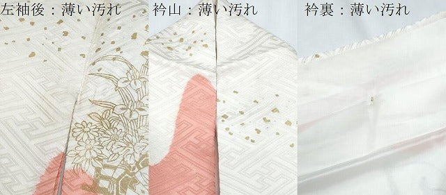 平和屋着物■豪華振袖　手描き　絞り　花車文　金彩　正絹　逸品　CABG2722th