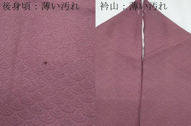 平和屋着物■訪問着　青海波地紋　滅紫色　正絹　逸品　CABG2736th