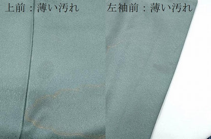 平和屋着物■訪問着　几帳花文　金彩　正絹　逸品　CABG2763th
