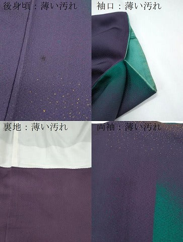 平和屋着物■上質な小紋　吉祥文　正絹　逸品　CABG2776th