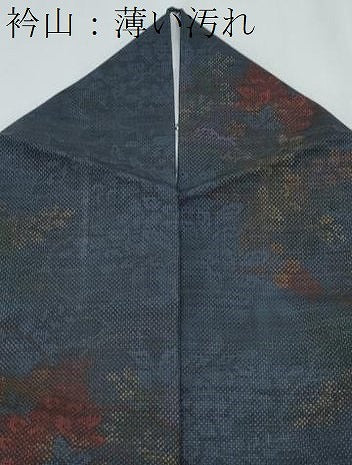 平和屋着物■本場大島紬　9マルキ　草花文　正絹　逸品　CABG2777th