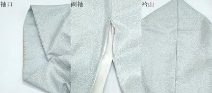 平和屋着物●訪問着　本場染大島紬　草花文　喜名前田織物謹製　証紙付き　正絹　逸品　CABG2786th