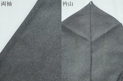 平和屋着物●訪問着　江戸小紋　作家物　鮫小紋柄　霞文　暈し染め　正絹　逸品　CABG2790th