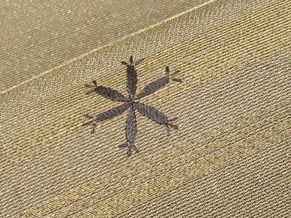 平和屋着物●アンティーク　大正ロマン　丸帯　引き抜き帯　総刺繍　舞蝶花鳥唐草文　金糸　正絹　逸品　CABG3204tx