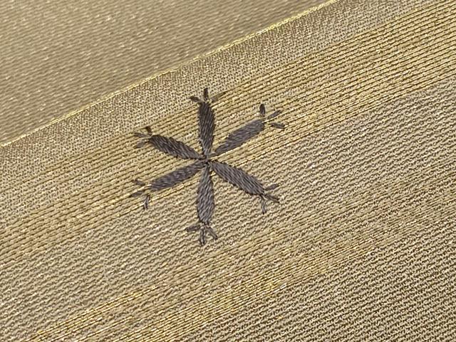 平和屋着物●アンティーク　大正ロマン　丸帯　引き抜き帯　総刺繍　舞蝶花鳥唐草文　金糸　正絹　逸品　CABG3204tx