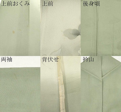 平和屋着物＊夏物 色留訪問着 絽 手描き 葡萄蔦の葉文 暈し染め 正絹 逸品 CABG3225tx
