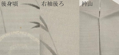 平和屋着物＊夏物 訪問着 紗 手描き 絞り トンボ 正絹 逸品 CABG3231tx