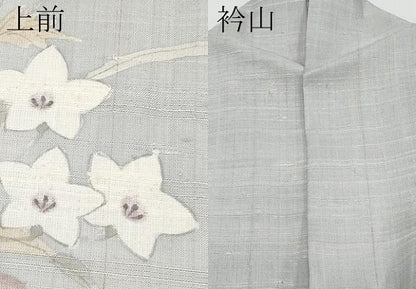 平和屋着物＊夏物 訪問着 生紬地 手描き 秋草文 正絹 逸品 CABG3245tx