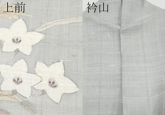 平和屋着物＊夏物 訪問着 生紬地 手描き 秋草文 正絹 逸品 CABG3245tx