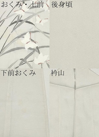 平和屋着物＊夏物 訪問着 絽 すすき舞蝶文 正絹 逸品 CABG3255tx