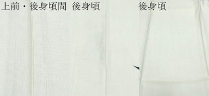 平和屋着物＊夏物 訪問着 絽 ろうけつ染め 枝花文 正絹 逸品 CABG3257tx