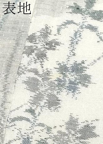 平和屋着物＊夏物　紗紬　枝花文　正絹　逸品　CABG3266tx