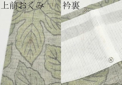 平和屋着物＊夏物　小紋　葉尽くし　CABG3267tx