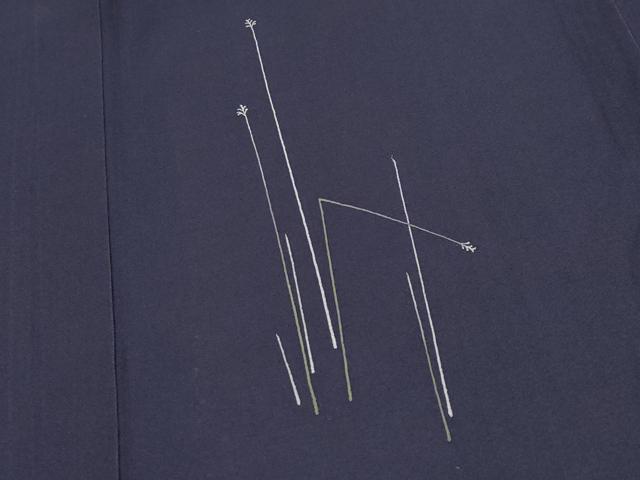 平和屋着物＊夏物　訪問着　紗　草木文　正絹　逸品　CABG3270tx