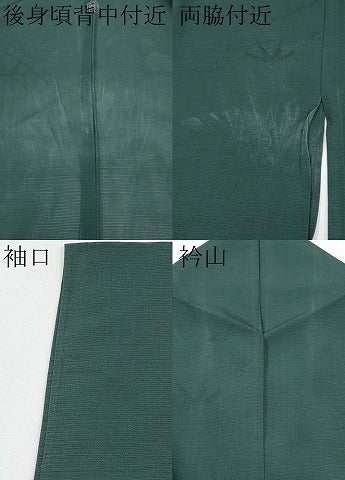 平和屋着物＊夏物　色無地　笹竹紋紗　天鵞絨色　正絹　逸品　CABG3272tx