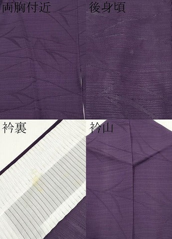 平和屋着物＊夏物　色無地　変わり絽　芝草文　深紫色　正絹　逸品　CABG3288tx
