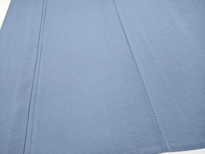 平和屋着物＊夏物　色無地　絽縮緬　紅掛空色　正絹　逸品　未使用　CABG3304tx