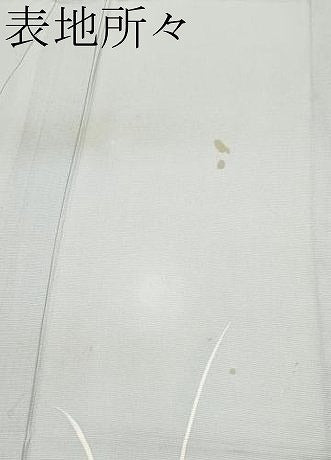 平和屋着物＊夏物　訪問着　絽　手描き　草花文　正絹　逸品　CABG3325tx