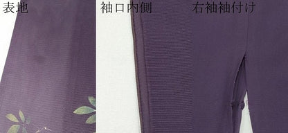 平和屋着物＊夏物　訪問着　絽　手描き　藤花房　秋草　暈し染め　金彩　正絹　逸品　CABG3326tx