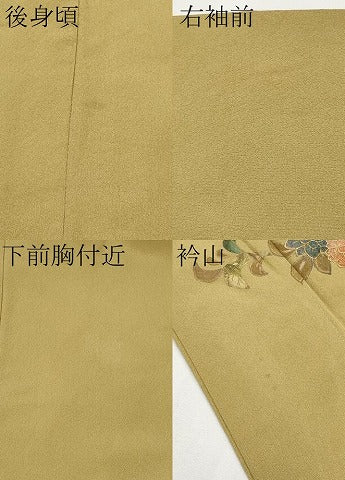 平和屋着物●訪問着　花唐草文　暈し染め　金彩　正絹　逸品　CABG3353tx