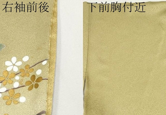 平和屋着物●訪問着　花鳥文　暈し染め　金銀彩　正絹　逸品　CABG3369tx