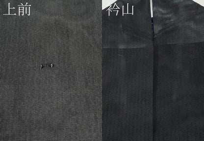 平和屋着物＊夏物　小紋　二重紗　縞　正絹　逸品　CABG3445tx