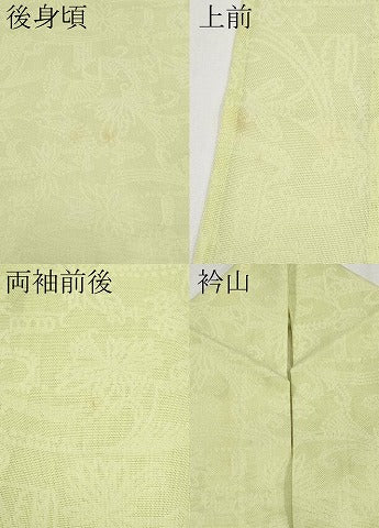 平和屋着物＊夏物　色無地　花唐草紋紗　若菜色　正絹　逸品　CABG3449tx