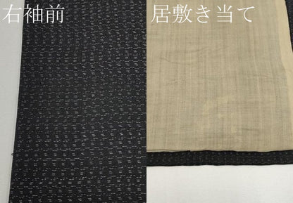 平和屋着物＊夏物　紗紬　霞文　正絹　逸品　CABG3459tx