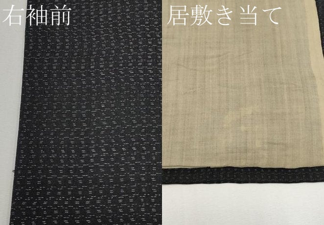 平和屋着物＊夏物　紗紬　霞文　正絹　逸品　CABG3459tx