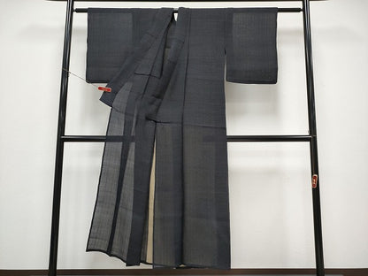 平和屋着物＊夏物　紗紬　霞文　正絹　逸品　CABG3459tx