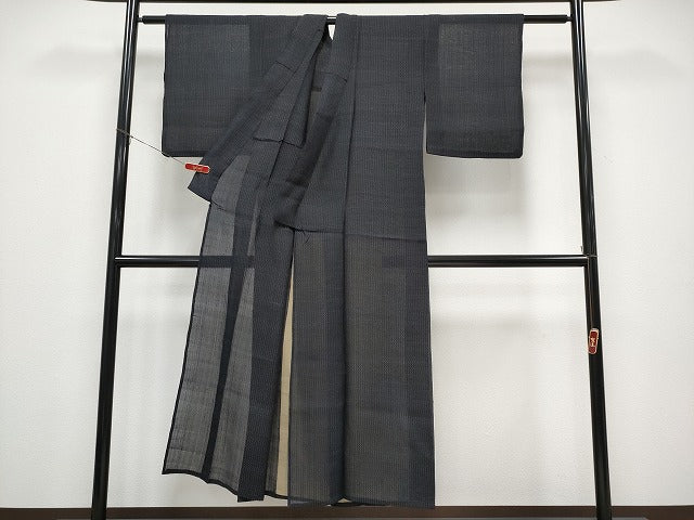 平和屋着物＊夏物　紗紬　霞文　正絹　逸品　CABG3459tx