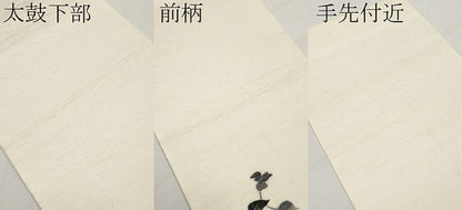 平和屋着物＊夏物 太鼓柄袋帯 すくい織 成り物 正絹 逸品 CABG3596tx