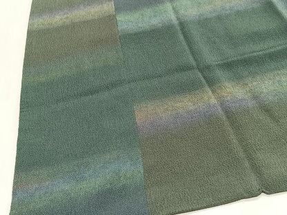 平和屋着物∞染色家 岩浅公展　道中着　霞文　暈し染め　ロング丈　正絹　逸品　未使用　CABG3680ua