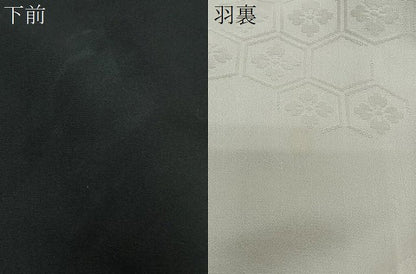平和屋着物＃羽織　孔雀花文　黒地　金銀彩　正絹　逸品　CABG3873ua