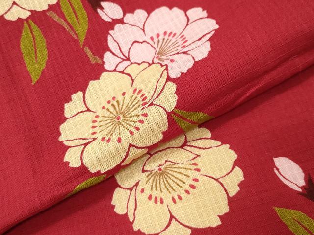 平和屋着物∴夏物 綿紅梅 浴衣 枝桜文 綿 逸品 CABG4023gh