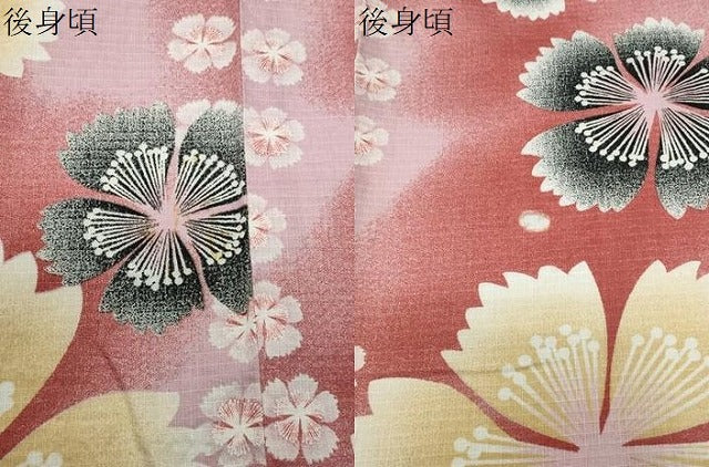 平和屋着物∴夏物 綿紅梅 浴衣 舞桜文 綿 逸品 CABG4105gh